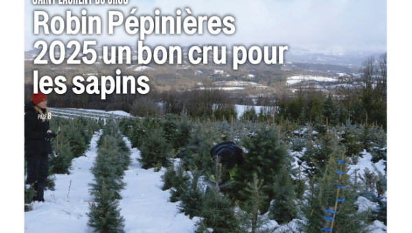 Robin Pépinières 2025 un bon cru pour les sapins